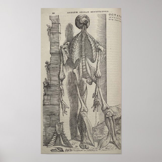 De Humani Corporis Poster (Front)