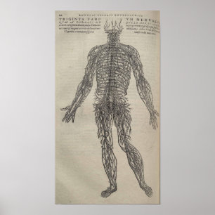 De Humani Corporis Poster