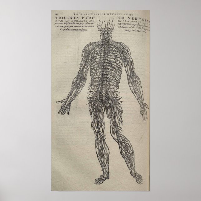 De Humani Corporis Poster (Front)