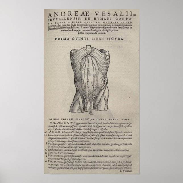 De Humani Corporis Poster (Front)