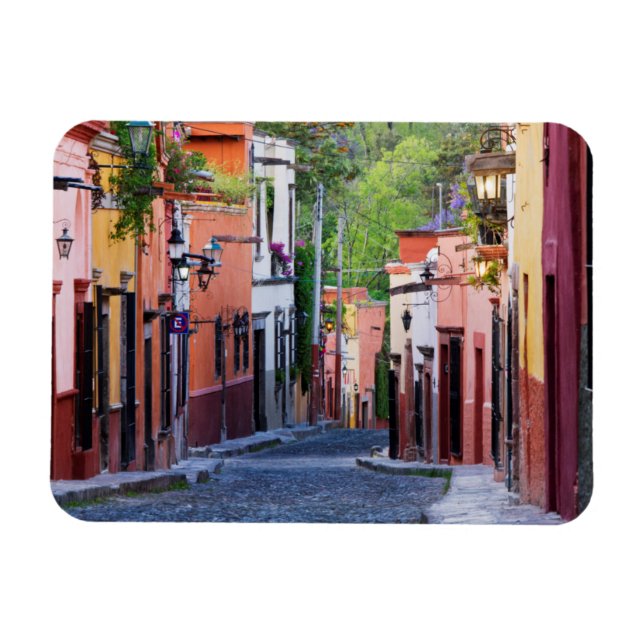 De Sollano Street, San Miguel De Allende Magnet (Horizontal)