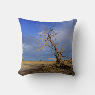 Dead Camel Thorn (Acacia Erioloba) Tree Cushion