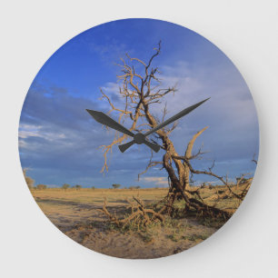 Dead Camel Thorn (Acacia Erioloba) Tree Large Clock