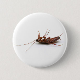 Dead cockroach 6 cm round badge