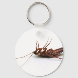 Dead cockroach key ring