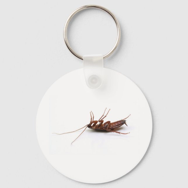 Dead cockroach key ring (Front)