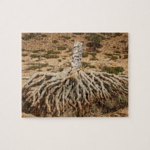 Dead dragon Blood Tree, Socotra, Yemen Jigsaw Puzzle