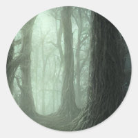 Dead Forest - Fog Woods Trees Creepy Landscape