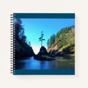 Dead Man's Cove, Cape Disappointment, Washington Notebook