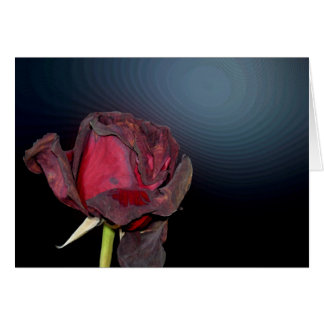 Dead Roses 1