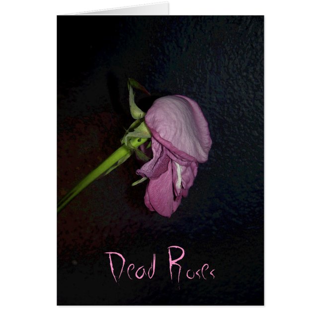 Dead Roses: www.GraceArtGroup.com (Front)