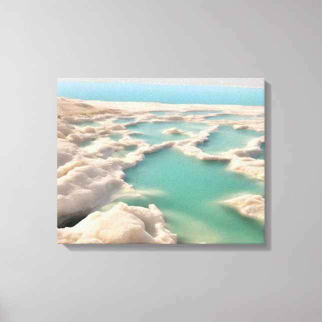 Dead sea in Israel Canvas Print (Front)