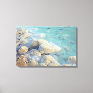 Dead Sea Israel Canvas Print