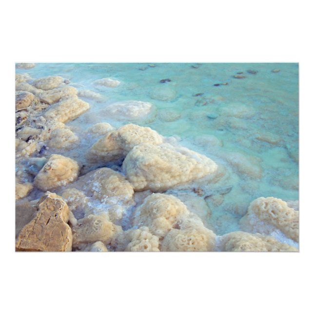 Dead Sea Israel Photo Print (Front)