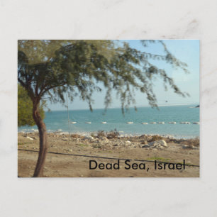 Dead Sea, Israel Postcard