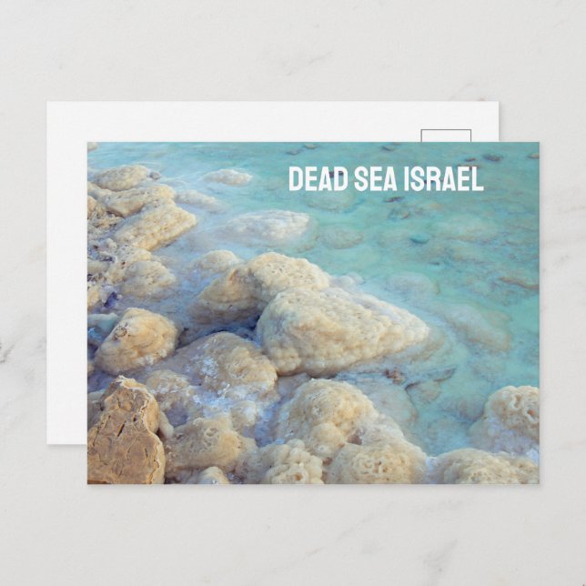 Dead Sea Israel Postcard (Front/Back)