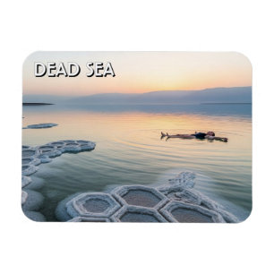 Dead Sea Jordan Travel Magnet