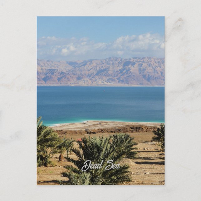 Dead Sea landscape photograph Postcard (Front)