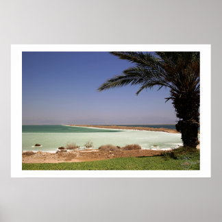 Dead Sea Poster
