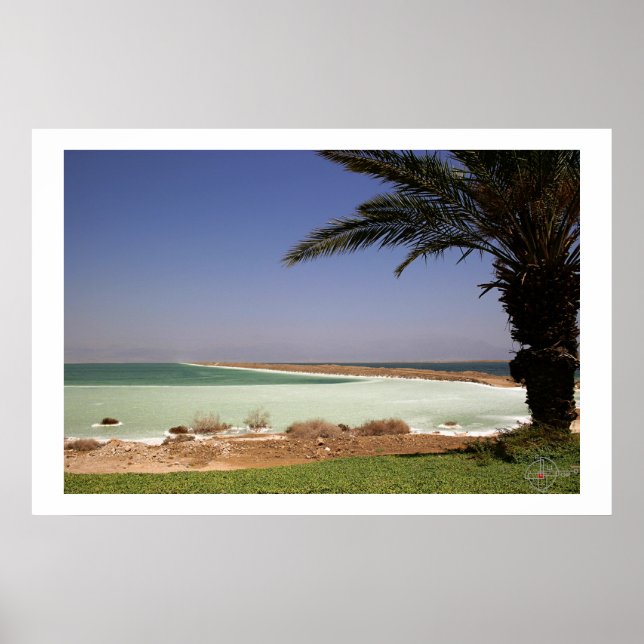Dead Sea Poster (Front)