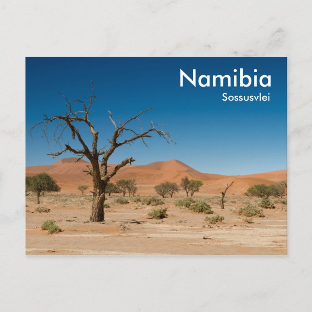 Dead Tree at Sossusvlei postcard with text (Front)