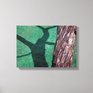 Dead tree canvas print