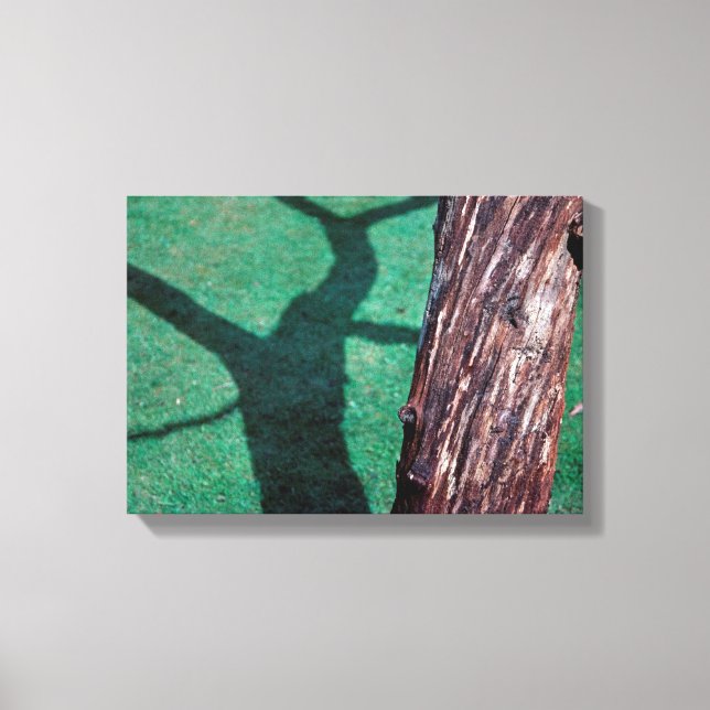 Dead tree canvas print (Front)