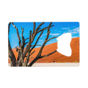 Dead tree in Deadvlei, Namibia