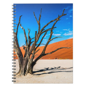 Dead tree in Deadvlei, Namibia Notebook