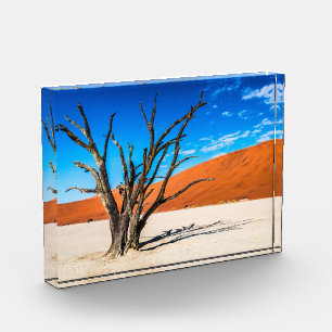 Dead tree in Deadvlei, Namibia Photo Block