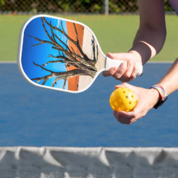 Dead tree in Deadvlei, Namibia Pickleball Paddle