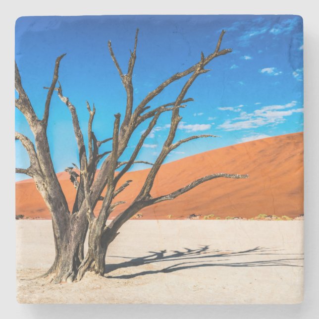 Dead tree in Deadvlei, Namibia Stone Coaster (Front)