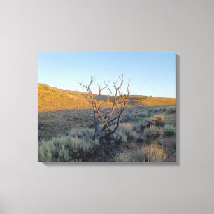 Dead Tree in the Nevada Desert Canvas Print