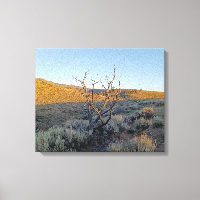 Dead Tree in the Nevada Desert Canvas Print (Front)