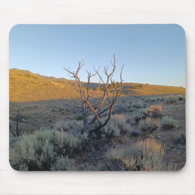 Dead Tree in the Nevada Desert Mouse Mat (Front)