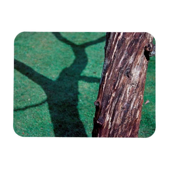 Dead tree magnet (Horizontal)