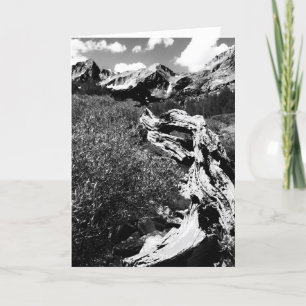 Dead Tree Mountains, Black and White, Blank Inside Card