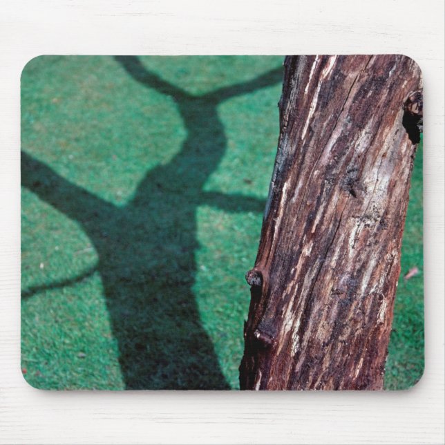 Dead tree mouse mat (Front)