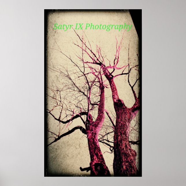 Dead Tree Poster (Front)