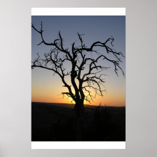 Dead_Tree_Sunset_Erock Poster