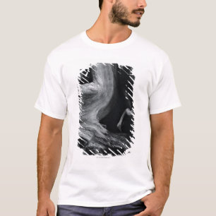 Dead tree trunk T-Shirt