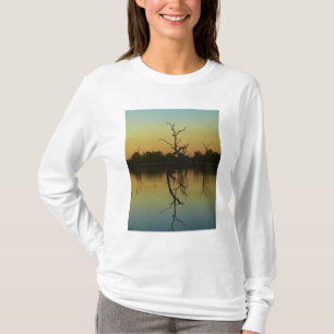 Dead trees reflected in Lily Creek Lagoon, dawn T-Shirt