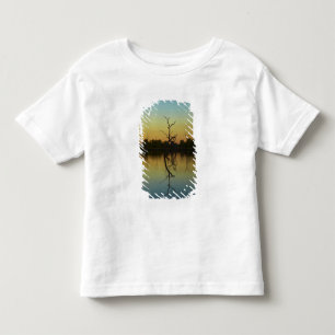 Dead trees reflected in Lily Creek Lagoon, dawn Toddler T-Shirt