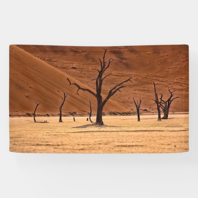 Dead Vlei, Namibia Banner (Horizontal)