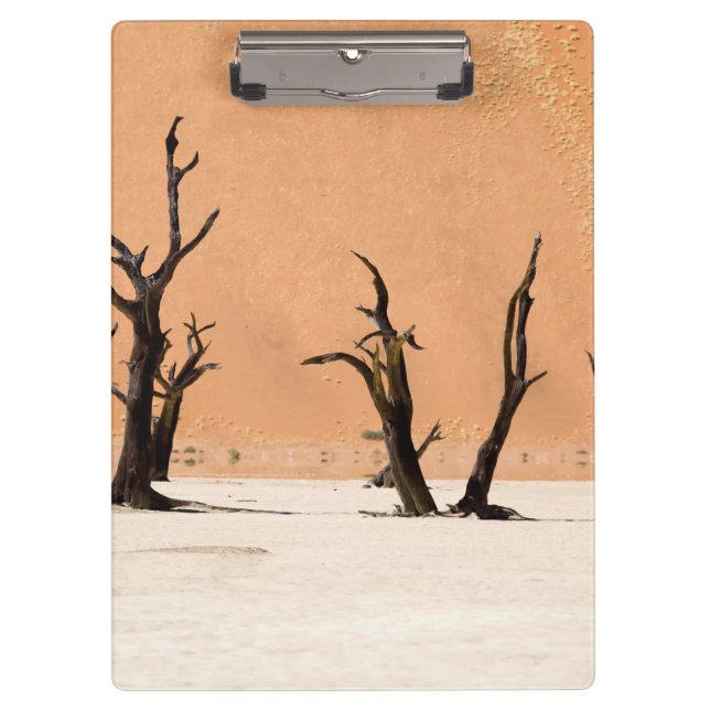 Dead Vlei, Namibia Clipboard (Front)