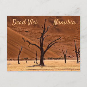 Dead Vlei Namibia landscape photo with text Postcard