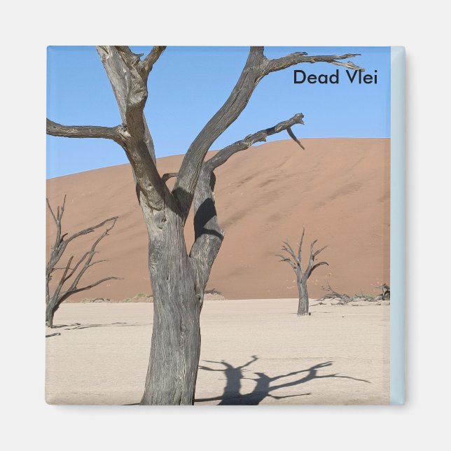 Dead Vlei, Namibia Magnet (Front)