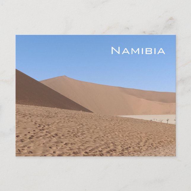Dead Vlei, Namibia Postcard (Front)
