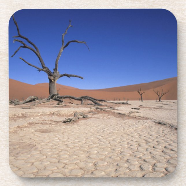 Dead Vlei, Sossusvlei, Namib-Naukluft National Coaster (Front)