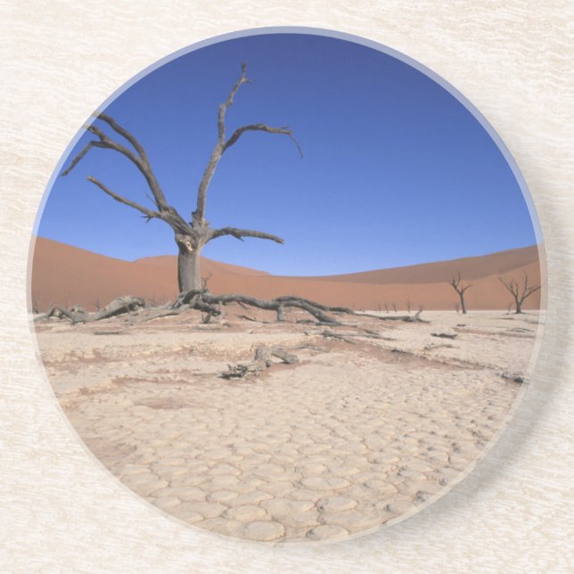 Dead Vlei, Sossusvlei, Namib-Naukluft National Coaster (Front)